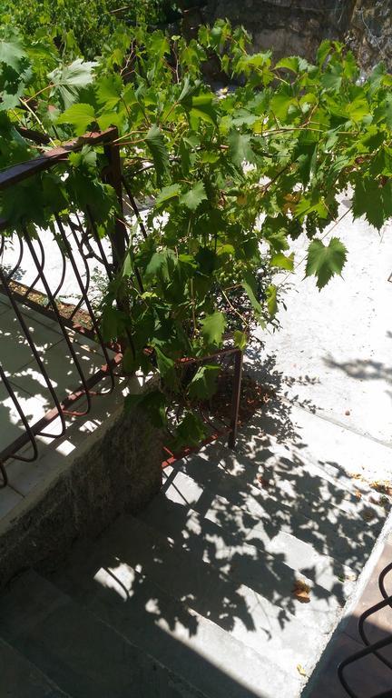 Apartment Angelina Risan Exterior photo